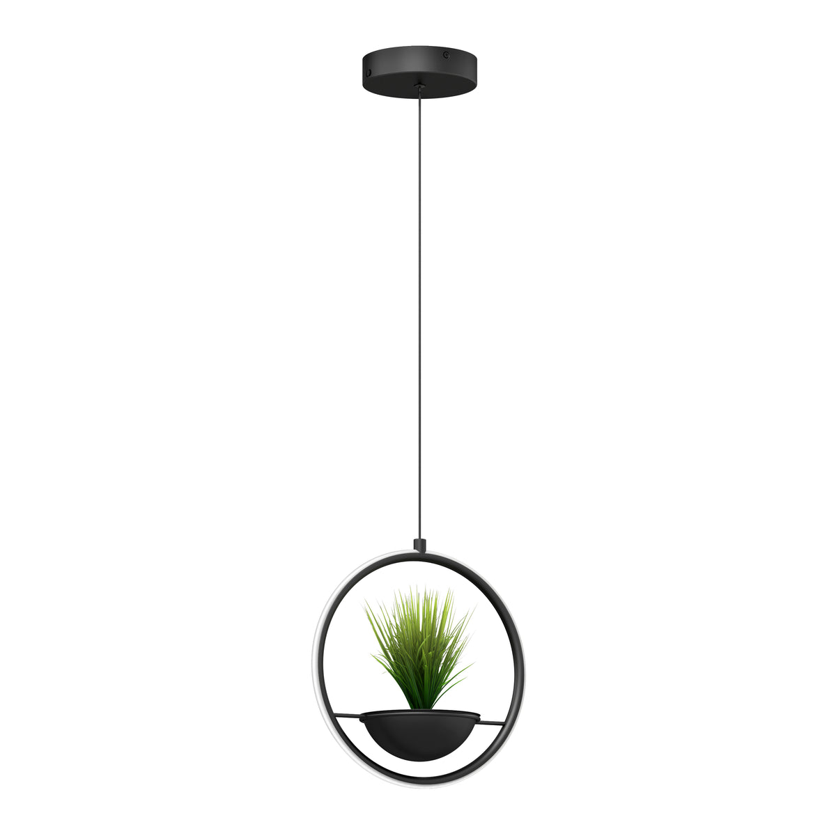 Colin lámpara suspendida moderno LED 5 CCT