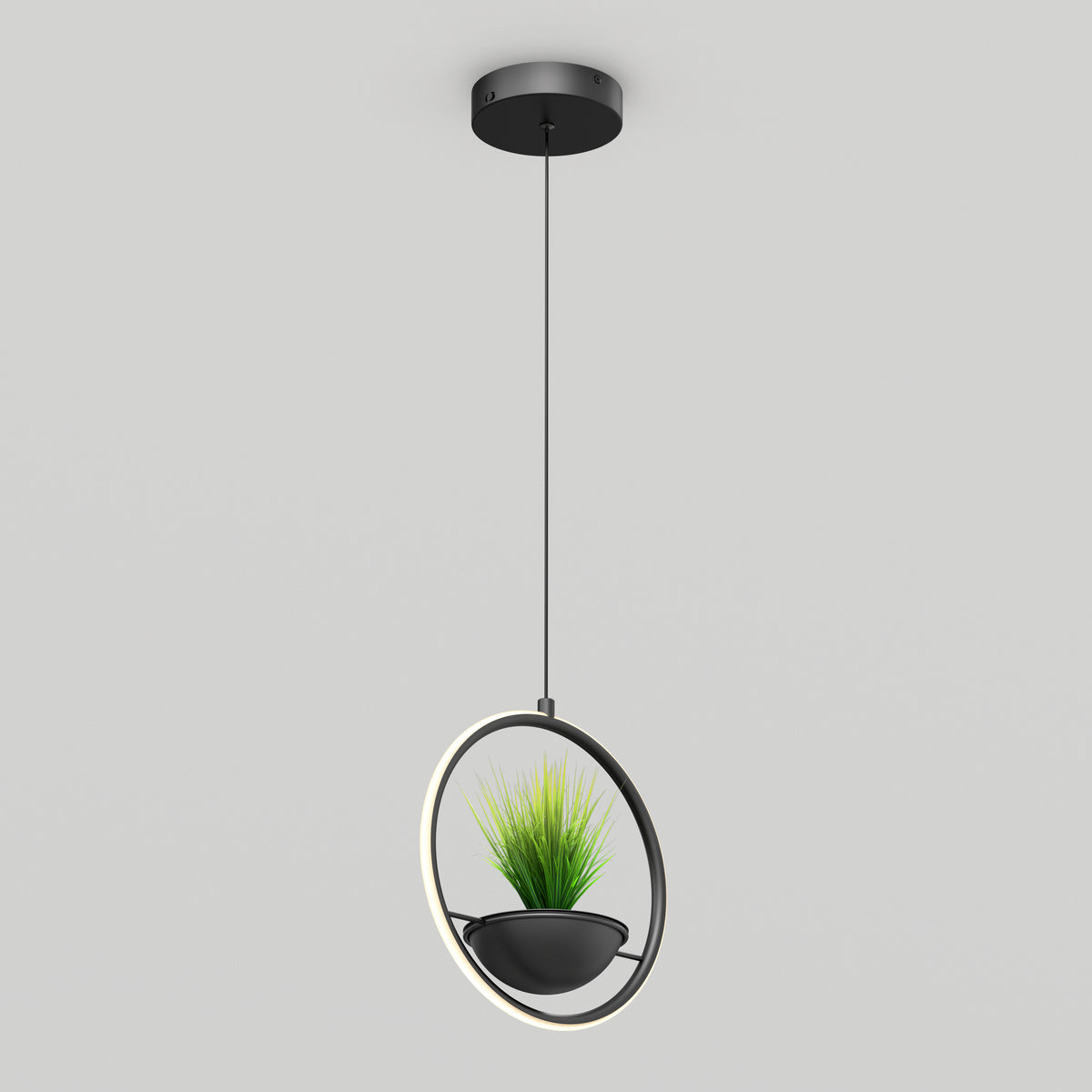 Colin LED modern planter pendant light 5 CCT