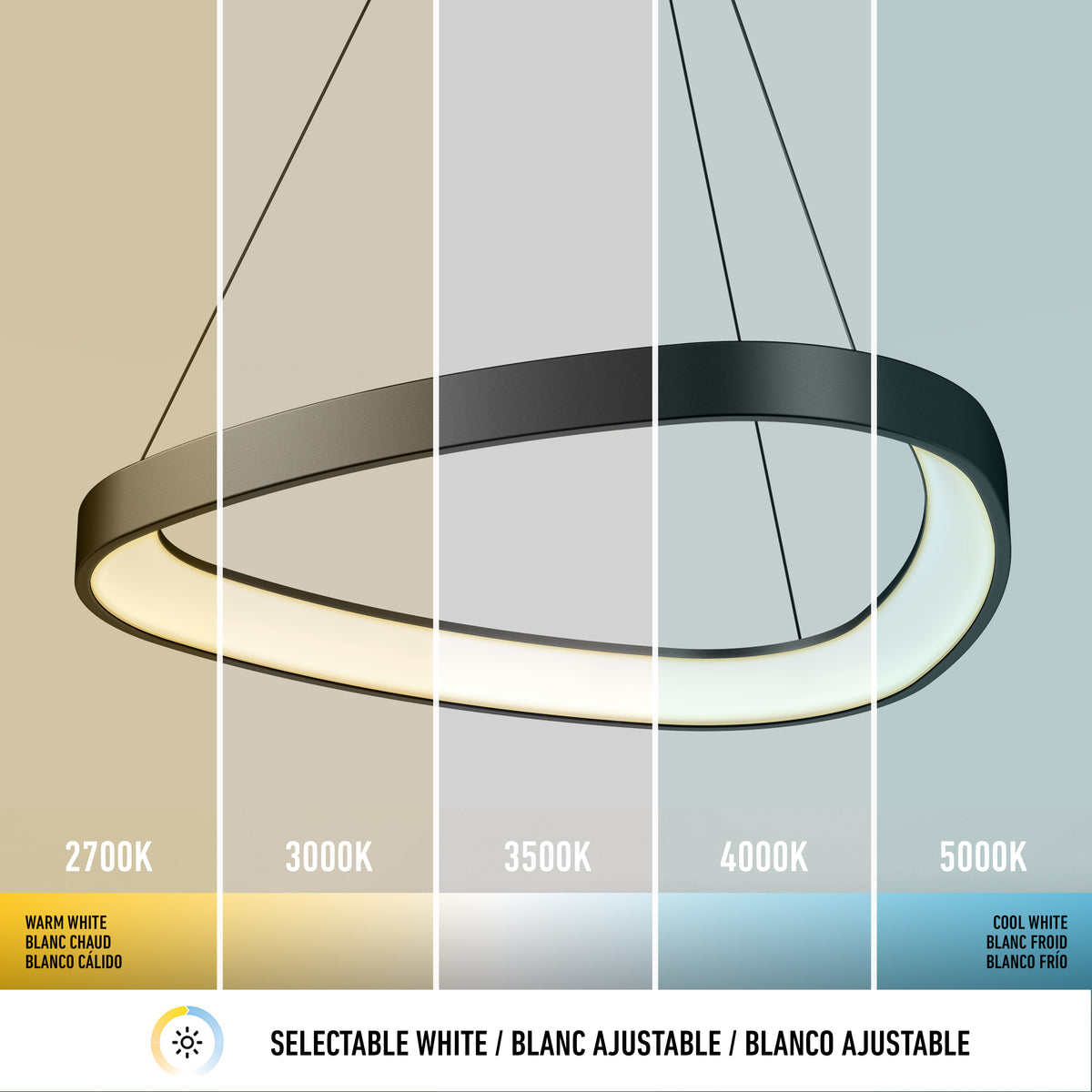 Bjorn modern LED pendant light 5 CCT