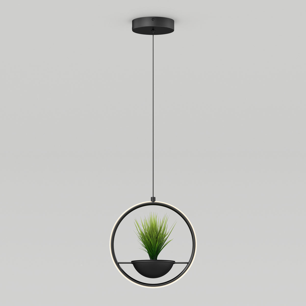 Colin lámpara suspendida moderno LED 5 CCT