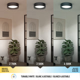 A modern room with a plant and framed artwork, shown under three ceiling lights: warm white (2700K), neutral white (3500K), and cool white (4500K), illustrating tunable white lighting options.