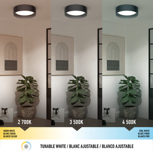 The Artika Alton LED flush mount brightens a room with a potted plant and artwork, showcasing three color temperatures: warm white (2700K), neutral white (3500K), and cool white (4500K).