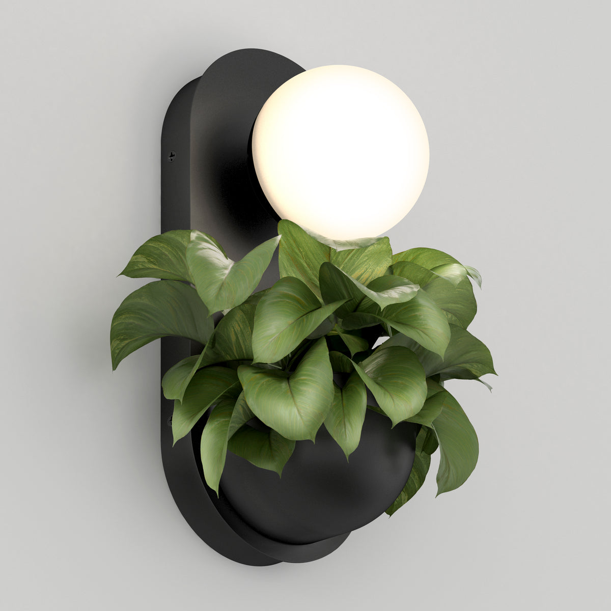 The Artika Bloomfield LED modern mid-century wall sconce 5 CCT features a round white light above a lush green plant on a black curved base, mounted on a light gray wall.
