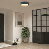 A modern entryway with light wood floors, a potted plant, framed abstract art, black-framed glass partition, black door, a pair of black shoes, and a white handbag on the floor. Ceiling light fixture above.