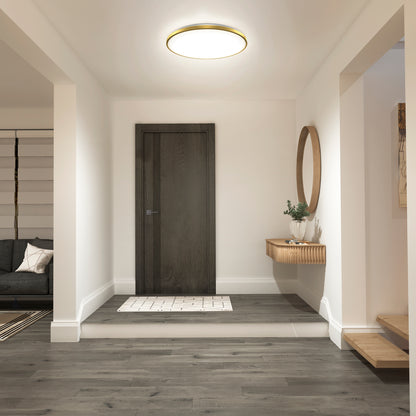 Modern, minimalist entryway with a dark wooden door, light walls, gray wood flooring, and a floating console topped with a round mirror and potted plant. The space features Artikas Europa 21 in. LED modern flush mount light with remote on the ceiling.