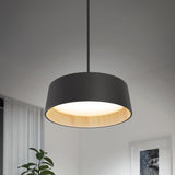 A modern black pendant light hangs from the ceiling, illuminating a room with white walls, a plant, a window with sheer curtains, and a framed picture on the wall.