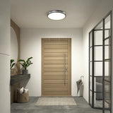 Modern entryway with a light wood door, a round ceiling light, a gray rug, potted plants on a floating shelf, basket with towels, and an umbrella by the door. Glass-paned wall divides the space.