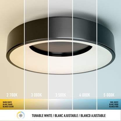 Aiden LED flush mount