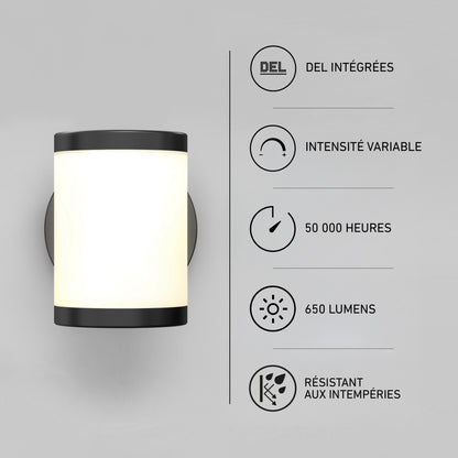 Artika Landon LED Outdoor Wall Light 2-Pack: dimmable, 650 lumens, 50,000 hrs, weather resistant.