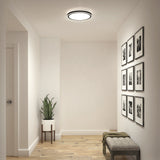 A minimalist hallway with light wood flooring, a potted plant on a stand, a bench with a green blanket, and a wall displaying a grid of nine black-and-white framed photos, illuminated by a modern ceiling light.