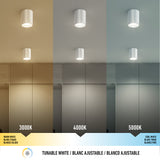 A ceiling light is shown with three different color temperatures: warm white (3000K), neutral white (4000K), and cool white (5000K), each lighting a modern room with corresponding color tones.