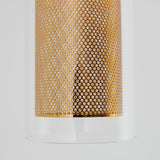 Close-up of a cylindrical object with a perforated gold metal pattern inside a clear glass tube, set against a plain light gray background.