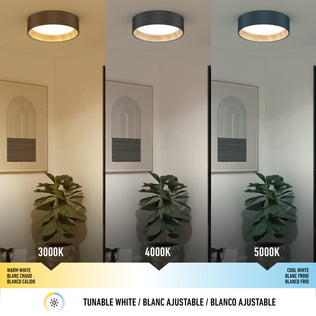 The Artika Alton LED flush mount brightens a room with three color temps—3000K warm white, 4000K neutral, and 5000K cool. This dimmable modern fixture shines above a plant and framed artwork for stylish illumination.
