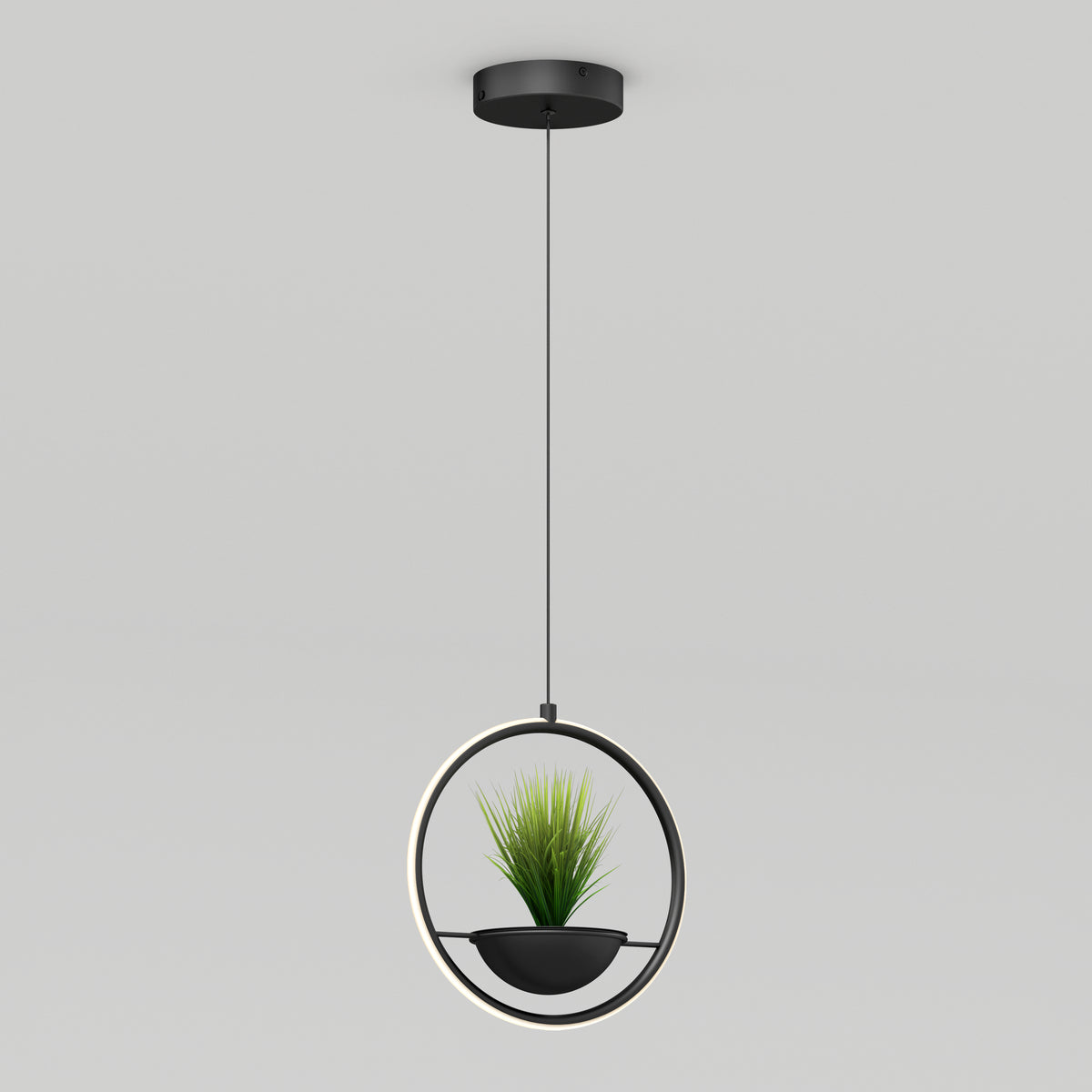 Colin lámpara suspendida moderno LED 5 CCT