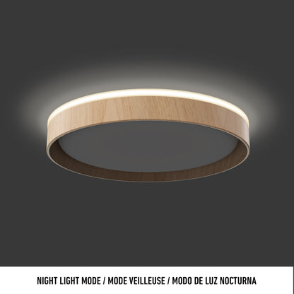 Callisto lámpara de techo LED 15 in. 5 CCT
