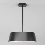 A modern black pendant ceiling light with a cylindrical shade, suspended from a rod against a plain white background.