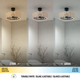 The Artika Kalani 24 in. LED modern ceiling fan with remote features adjustable lighting in warm white (2700K), neutral white, and cool white (6000K), shown above a minimalist room with a chair and bare branches.
