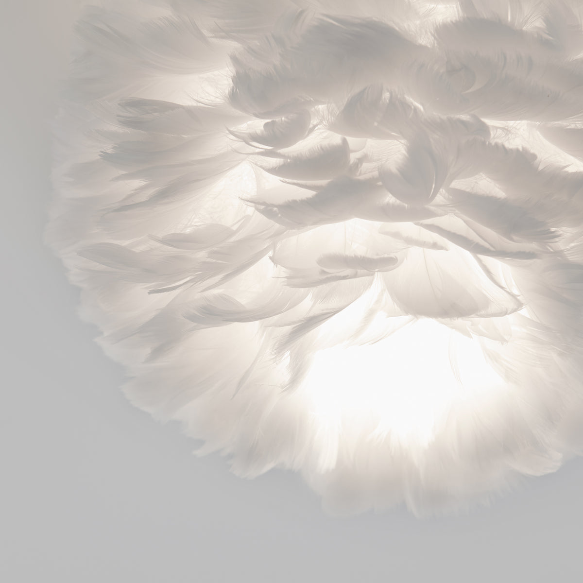 Close-up of a soft, white feathered lampshade glowing with light from within, creating a gentle, ethereal, and airy appearance against a plain background.