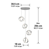 Modern hanging light fixture with four looped LED pendants at varying heights. Dimensions are shown: base width 30.5 cm (12.01 in), pendant drop max 204 cm (80.31 in), pendant diameter 18 cm (7.09 in).