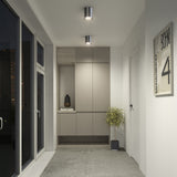 A modern, minimalist hallway with large windows, sleek built-in cabinets, a potted plant, ceiling lights, and a framed artwork on a white wall.