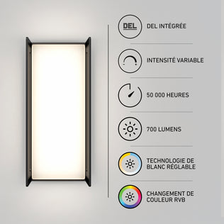 Rectangular Artika Ryker smart RGB wall light with icons showing LED technology, dimming, 50,000-hour lifespan, 700 lumens, and tunable white.