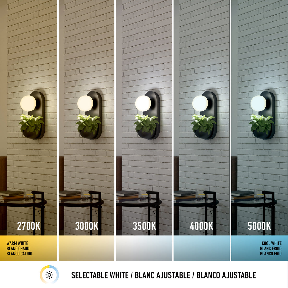 A wall sconce above a plant is shown with five different light temperatures: 2700K (warm yellow), 3000K, 3500K, 4000K, and 5000K (cool white), illustrating selectable white lighting options.