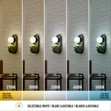 A wall sconce above a plant is shown with five different light temperatures: 2700K (warm yellow), 3000K, 3500K, 4000K, and 5000K (cool white), illustrating selectable white lighting options.