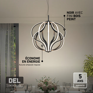 Black sculptural Meridian LED pendant light with a 5-year warranty badge and text overlays highlighting its energy-efficient design and finish.