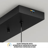 Close-up of a rectangular black ceiling light fixture with a color temperature switch and indicator icons. Below, a label reads Colour Temperature Switch in English and French. Two hanging cords visible.