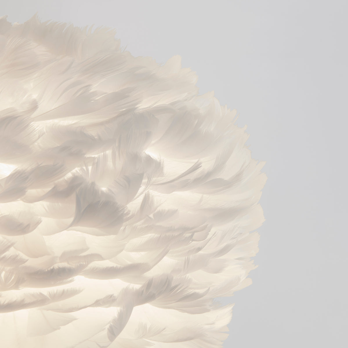 Close-up of a soft, white feathered lampshade or decorative object, with light shining through the delicate feathers against a plain, pale background.