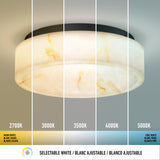 A round ceiling light shows five sections, each with different white color temperatures: 2700K (warm white), 3000K, 3500K, 4000K, and 5000K (cool white). Text below reads Selectable White in English, French, and Spanish.