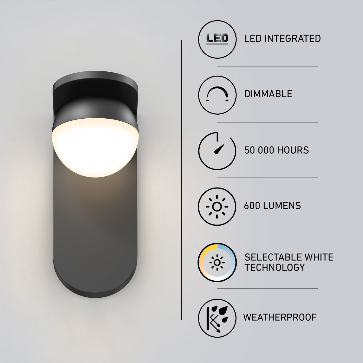 Bloom indoor-outdoor LED wall light 3 CCT