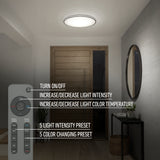 Modern hallway with a round ceiling light, small table, plant, and mirror. Image highlights remote control features for adjusting light intensity, color temperature, and presets. Text overlays describe these lighting functions.