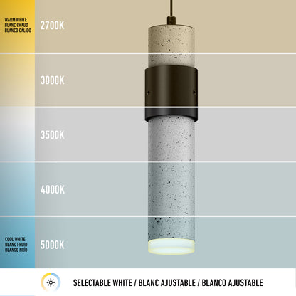 The Artika Barden 1-light LED pendant displays 5 selectable color temperatures from warm (2700K) to cool white (5000K). Labeled sections are shown on the left with a bottom banner: Selectable White / Blanc Ajustable / Blanco Ajustable.