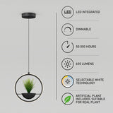Modern circular pendant light with a built-in planter containing an artificial plant. Text and icons highlight features: LED integrated, dimmable, 50,000 hours, 650 lumens, selectable white, and plant included.