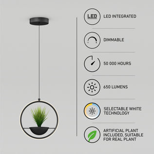 The Artika Colin LED modern planter pendant light 5 CCT features an integrated, dimmable LED with selectable white technology, 50,000-hour lifespan, 650 lumens output, and includes an artificial plant in the center.