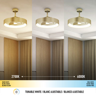 The Artika Austin 23 in. LED modern ceiling fan features a quiet motor and remote control, offering three color temperatures—warm white (2700K), neutral white, and cool white (6000K)—to illuminate your room.