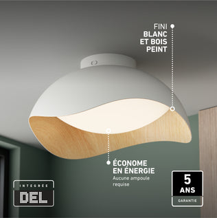 Adara 15 in. (38 cm) Modern LED Flush Mount Ceiling Light 5 CCT with a white dome, wood-tone interior, and energy efficiency and warranty labels.