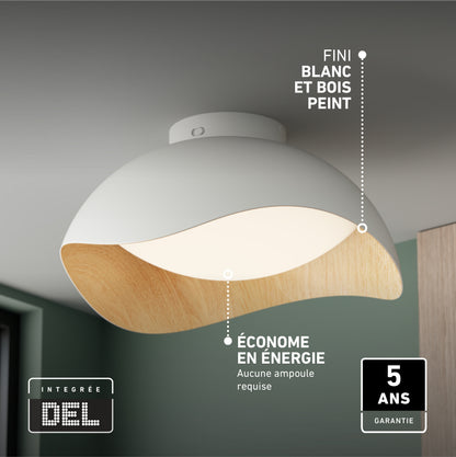 Adara 15 in. (38 cm) Modern LED Flush Mount Ceiling Light 5 CCT with a white dome, wood-tone interior, and energy efficiency and warranty labels.