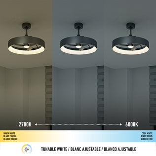 The Artika Austin 23 in. LED modern ceiling fan features tunable white settings with three adjustable lighting temperatures: warm white (2700K), neutral, and cool white (6000K), easily controlled by remote for customized brightness and color.