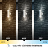 Three wall-mounted lights on a brick wall show three different color temperatures: warm white (3000K), neutral white (4000K), and cool white (5000K), illustrating tunable white lighting options.