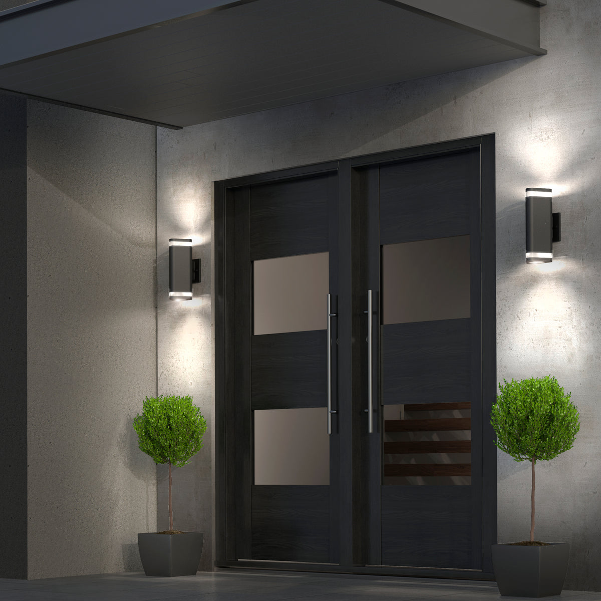 Modern double front doors with sleek black frames, frosted glass panels, and vertical handles. Two potted green shrubs flank the entrance. Wall-mounted lights illuminate the doorway and surrounding gray concrete wall.