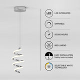 A modern spiral pendant light with LED integration hangs from the ceiling. Next to it are icons and text highlighting features: dimmable, 50,000 hours lifespan, 800 lumens, easy installation, and selectable white technology.