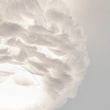 Close-up of soft, white feathers illuminated by light, creating an airy and delicate texture against a pale background. The feathers overlap, giving a sense of movement and lightness.