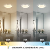 A room shown under three lighting temperatures: warm white (3000K), neutral white (4000K), and cool white (5000K), demonstrating how selectable white lighting changes the ambiance and color of the space.