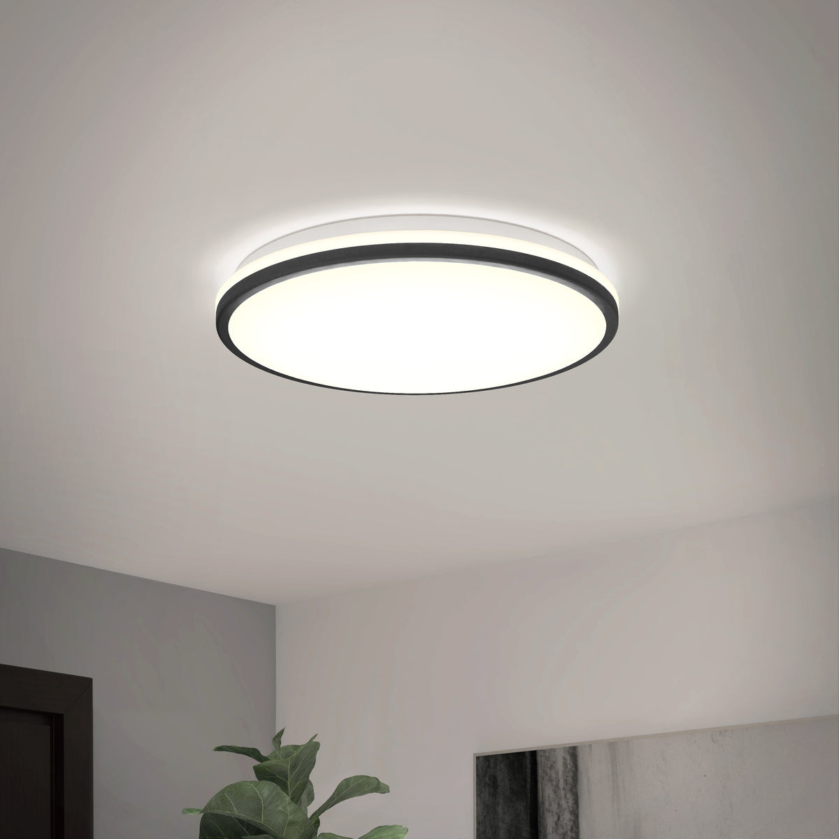 A modern, round ceiling light fixture with a black trim is illuminated on a white ceiling in a minimalist room. A leafy green plant and part of a framed artwork are visible in the lower corners.