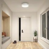 Minimalist entryway with a white modern front door, light wood floor, a built-in bench with cushions, a pair of brown shoes, a potted plant on a stand, large windows, and a round ceiling light.