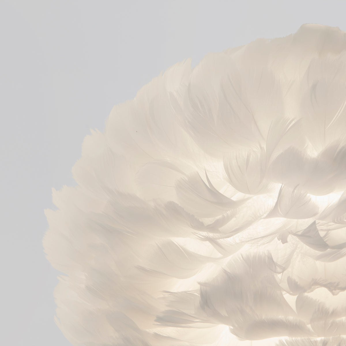 A close-up of a white feathered lampshade, softly illuminated from within, against a light grey background. The feathers create a delicate, layered texture.
