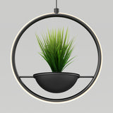 A modern circular hanging planter with a black frame and a bowl-shaped black pot holding green grass-like plants, set against a plain light gray background.