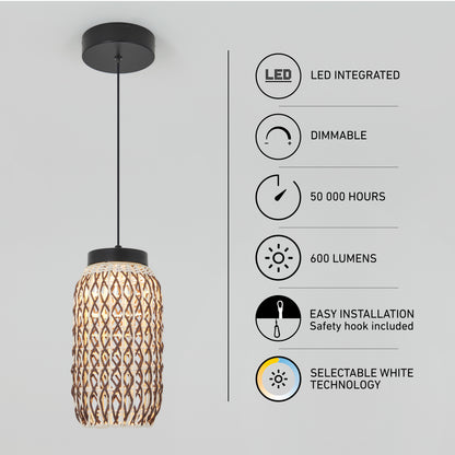 Benson Mini LED pendant light 5 CCT